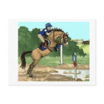 Buckskin Horse Art "Don't get toes wet" Postcard