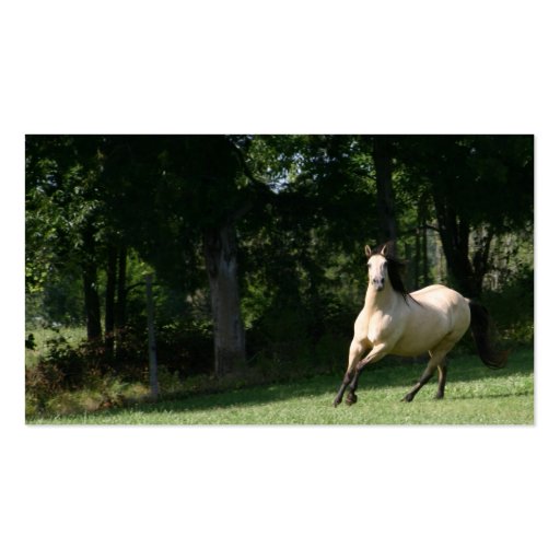 buckskin horse business card 2
