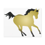 Buckskin Horse Post Cards