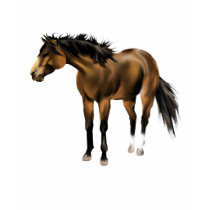Buckskin Horse Shirt