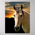 Buckskin horse sunset print