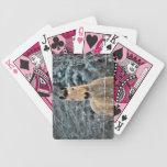 Buckskin Horse Winter Bicycle Card Decks