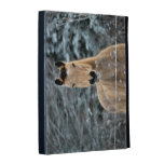 Buckskin Horse Winter iPad Folio Case