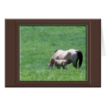 Buckskin Horses cards by BowNRanch Buckskin Horses cards