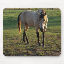 Buckskin Mare mouse pad mousepads by Orchidimages Buckskin Mare mouse pad mousepads