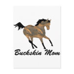 Buckskin Mom Post Cards