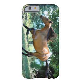 Buckskin Morgan Horse Barely There iPhone 6 Case