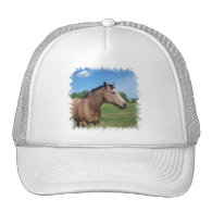 Buckskin Mustang Basebal Hat