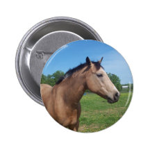 Buckskin Mustang Button