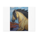 Buckskin Mustang in the canyon Post Cards