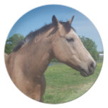 Buckskin Mustang Plate