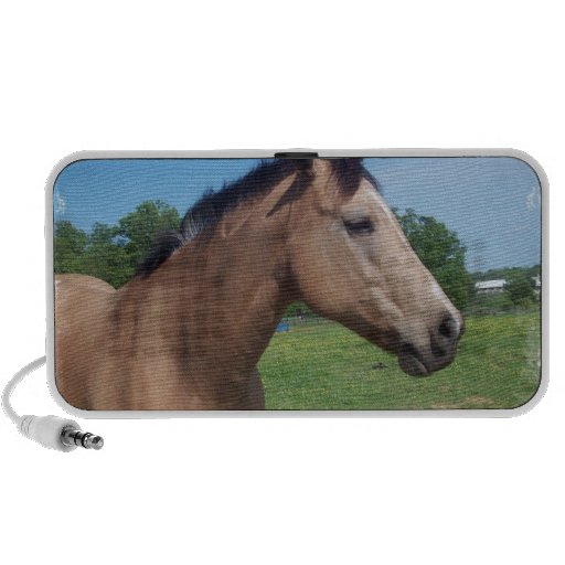 Buckskin Mustang Portable Speakers