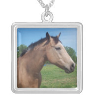 Buckskin Mustang Sterling Silver Necklace