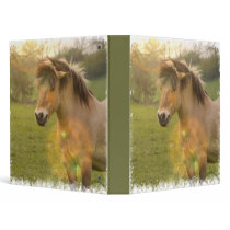 Buckskin Pony Binder