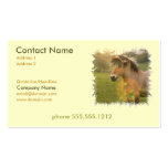 Buckskin Pony Busines Card Business Cards