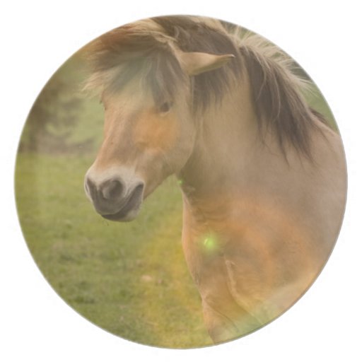 Buckskin Pony Plate