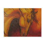Buckskin Postcards