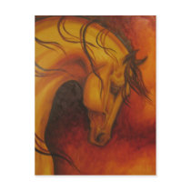 Buckskin Postcards