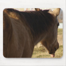 Buckskin Sticks His Tongue Out Mouse Pad