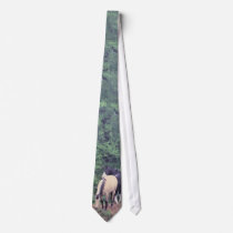 Buckskin Tie by MakaraPhotos Buckskin Tie