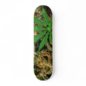 bud1, chronic leaf hope1 skateboards
