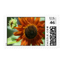 Bud And Bloom stamps