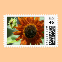 Bud And Bloom postage