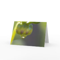 Bud and drop greeting card