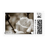 Bud and rose stamp