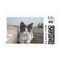 "Bud in color" Postage Stamps