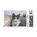 "Bud in color" Postage Stamps