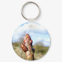 bud of a horse chest nut keychains by Eyefish bud of a horse chest nut keychains