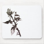 Bud of the rose penciled mousepads