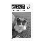 "Bud" Postage Stamp