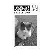 "Bud" Postage Stamp