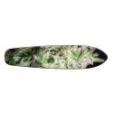 bud skateboards