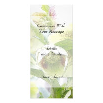 Bud To Blossom - White Hellebores Rack Card
