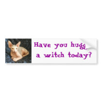 Buda 8, Have you hugged a witch today? bumper stickers