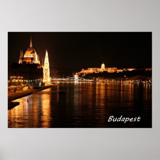 Budapest at Night Posters