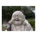 Budda posters