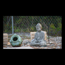 BUDDAH VIEW posters