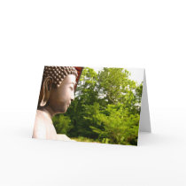 Buddha 3 cards