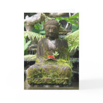Buddha Bali cards