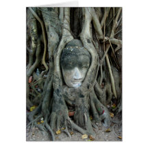 Buddha Head Cards