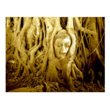 Buddha head entangled in fig roots, Ayutthaya Postcards