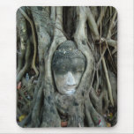 Buddha Head
