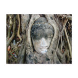 Buddha Head