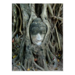 Buddha Head Postcards
