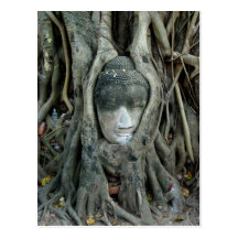 Buddha Head Postcards