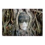 Buddha Head